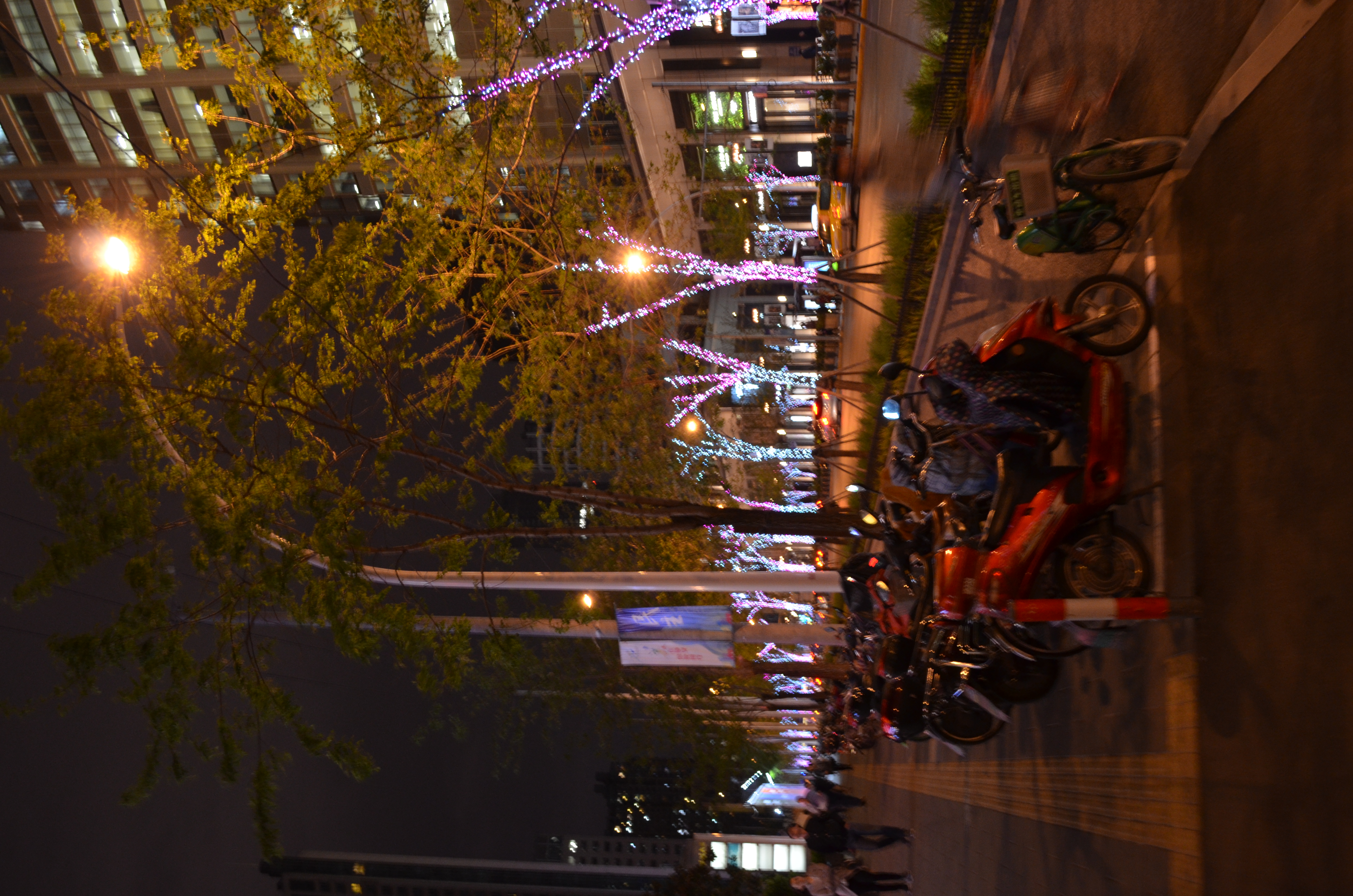 ./2018/03 - Viking China/22 - Shanghai Day 1/DSC_0480.JPG